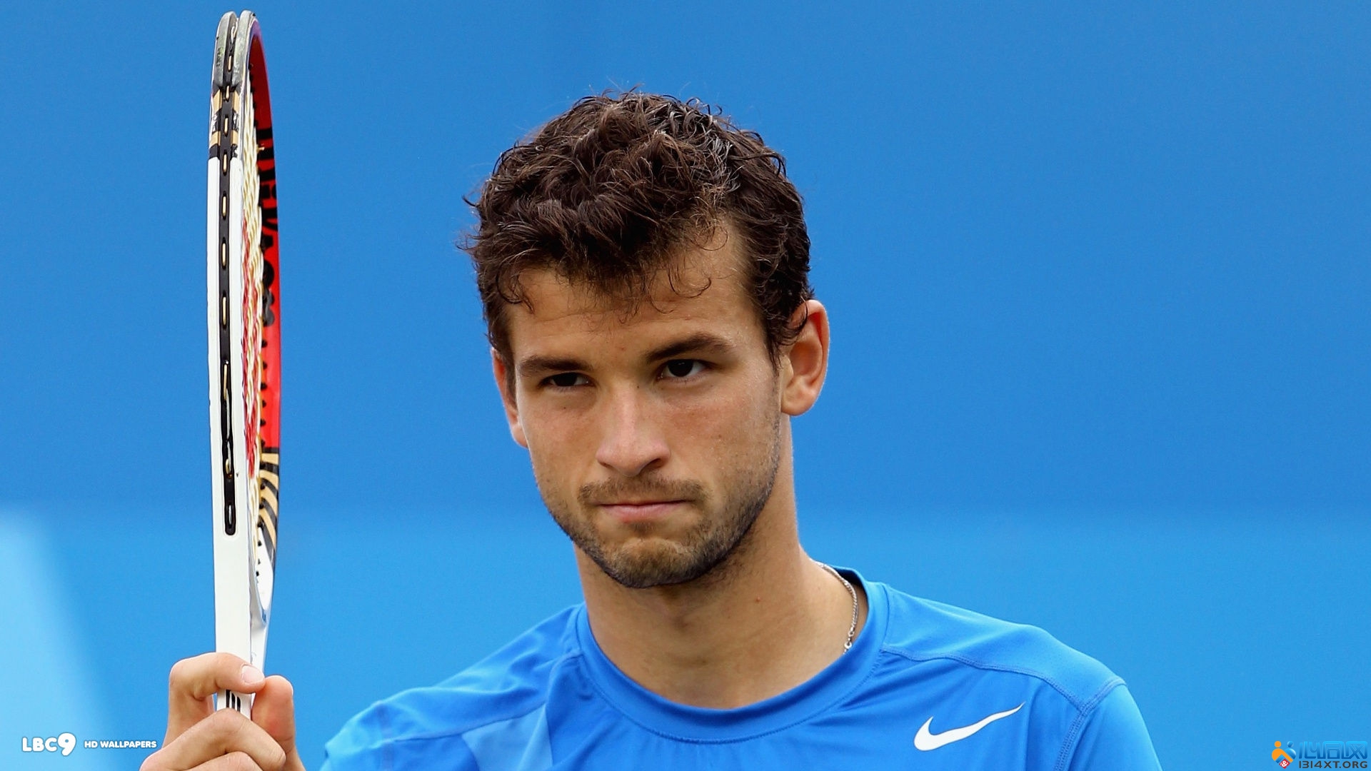 则显示了比 则显示了比