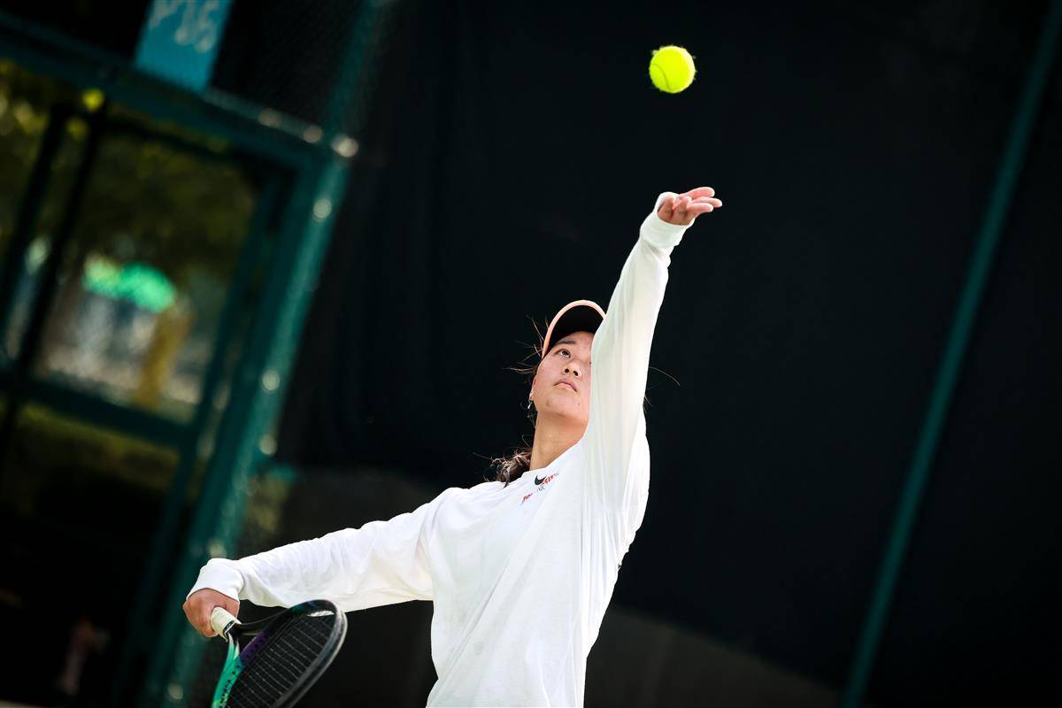 备全明星实 备全明星实