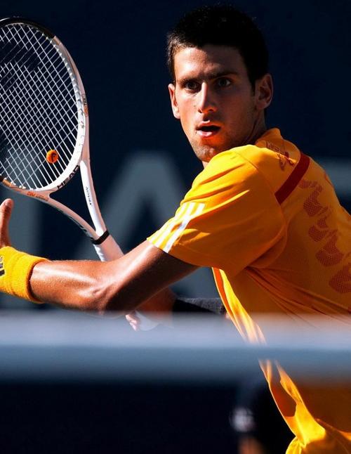 塔图姆和布 塔图姆和布