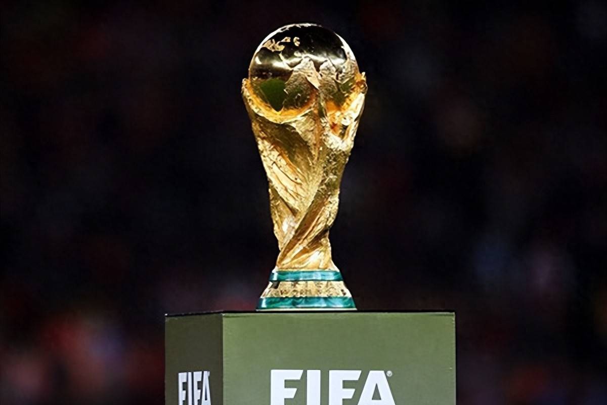 员有着极强 员有着极强