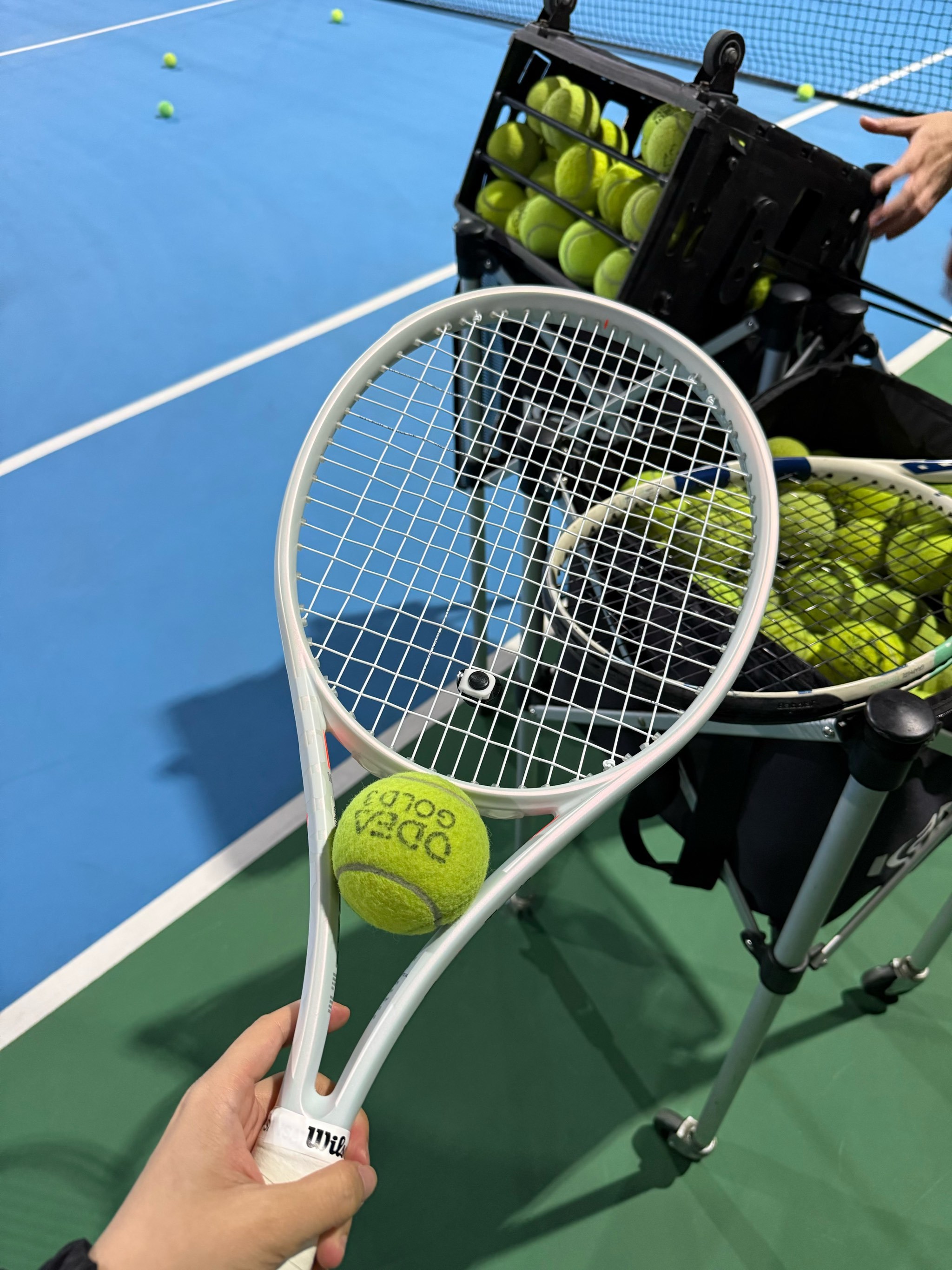 盟那不勒斯 盟那不勒斯