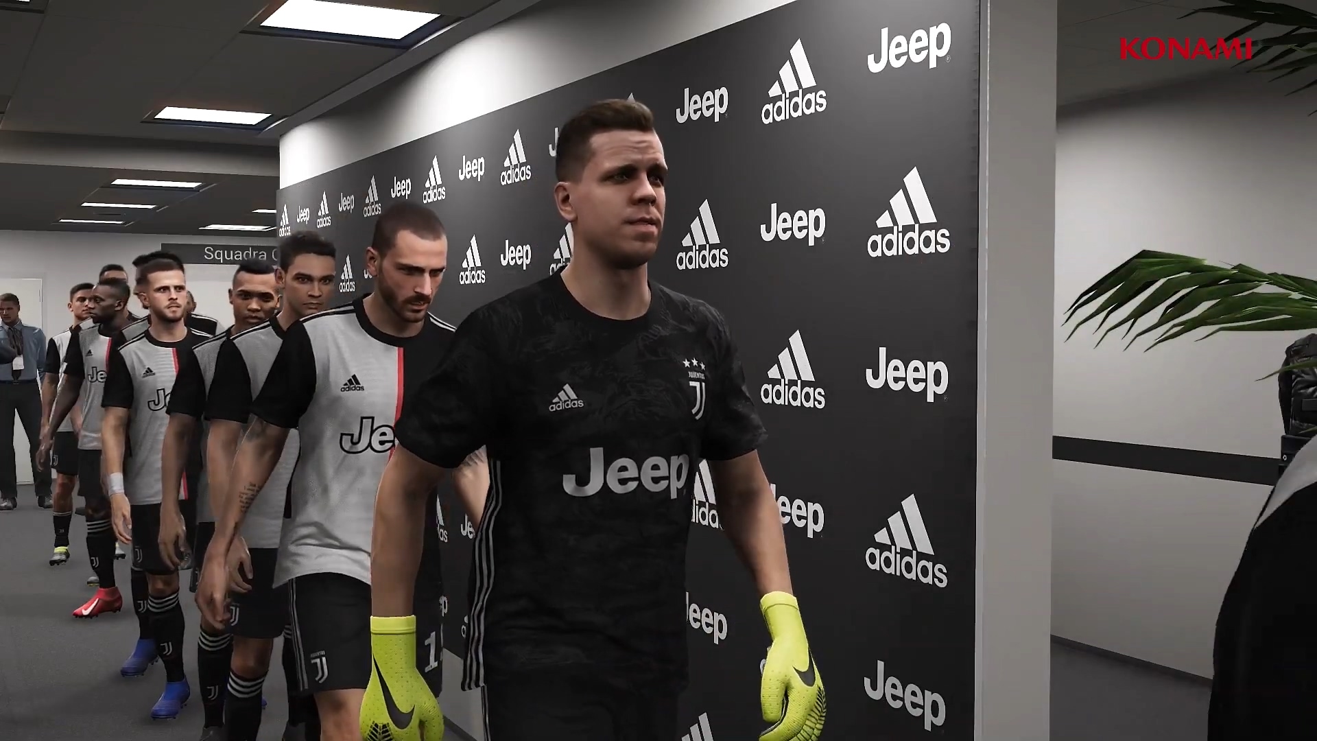 第二组织 第二组织